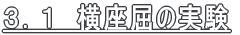 RDP@̎