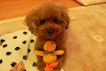 P1000271.JPG 3248x2160 1,741KB 